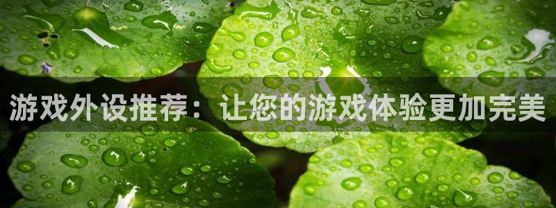 玩庄闲如何运用枝巧蠃钱?：游戏外设推荐：让您的游戏体验更加完