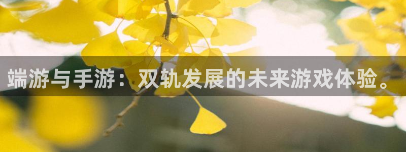 庄闲游戏怎么样：端游与手游：双轨发展的未来游戏体验。