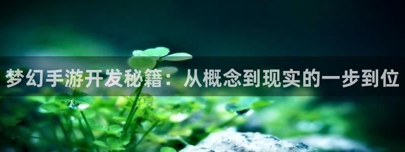 庄闲游戏如何：梦幻手游开发秘籍：从概念到现实的一步到位