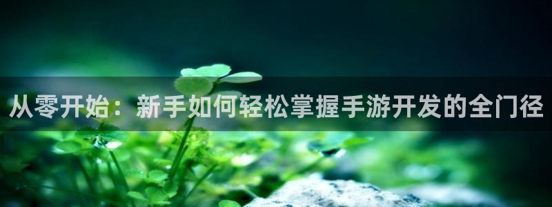 庄闲的游戏规则：从零开始：新手如何轻松掌握手游开发的全门径