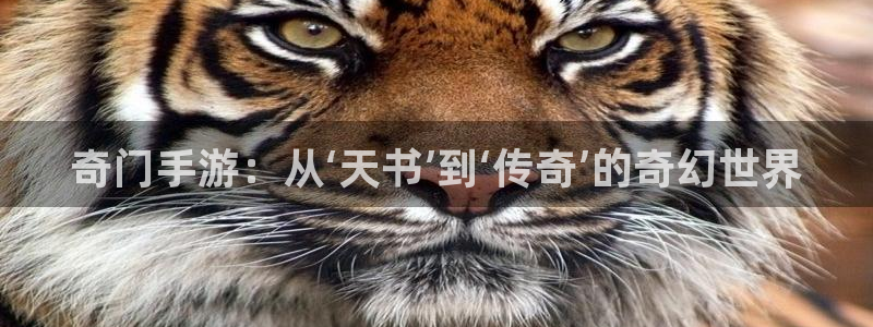 庄闲游戏名称：奇门手游：从‘天书’到‘传奇’的奇幻世界