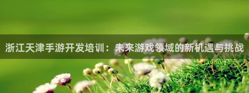 庄闲的游戏：浙江天津手游开发培训：未来游戏领域的新机遇与挑战
