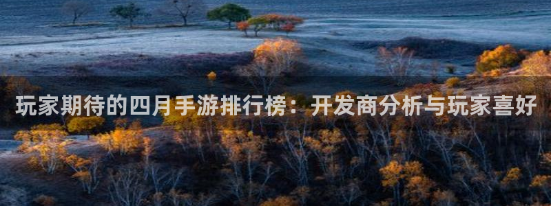 庄闲玩法叫：玩家期待的四月手游排行榜：开发商分析与玩家喜好