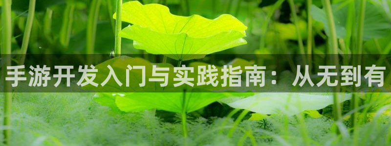 庄闲app娱乐下载：手游开发入门与实践指南：从无到有