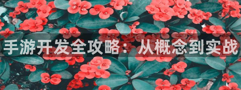 庄闲游戏官网入口：手游开发全攻略：从概念到实战