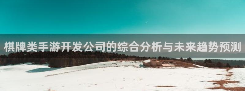 庄闲什么意思：棋牌类手游开发公司的综合分析与未来趋势预测