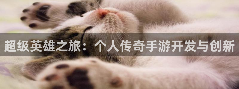 庄闲游戏的具体规则是什么?：超级英雄之旅：个人传奇手游开发与