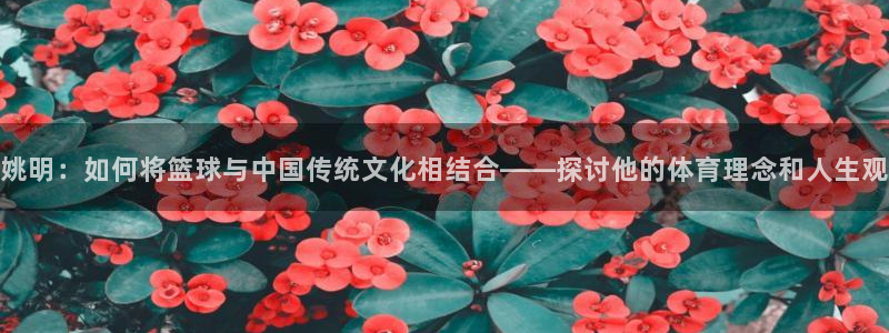 必一运动app