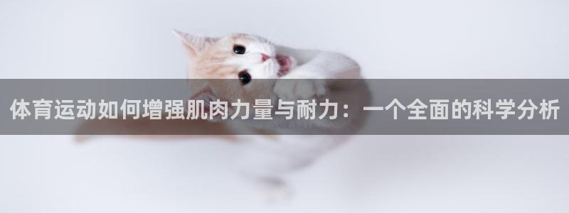 必一运动官网
