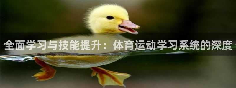 bsports必一运动