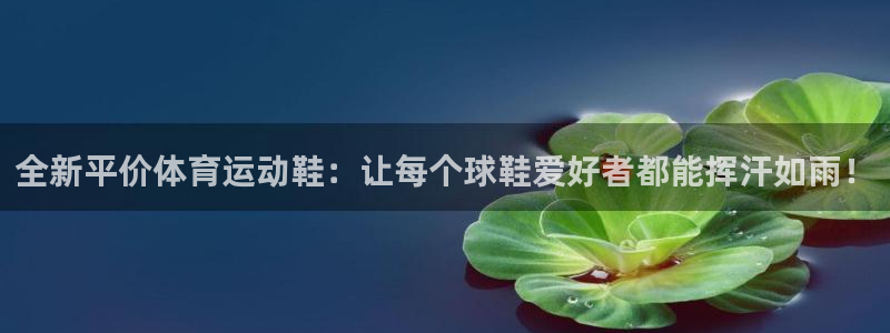 必一运动：全新平价体育运动鞋：让每个球鞋爱好者都能挥汗如雨！