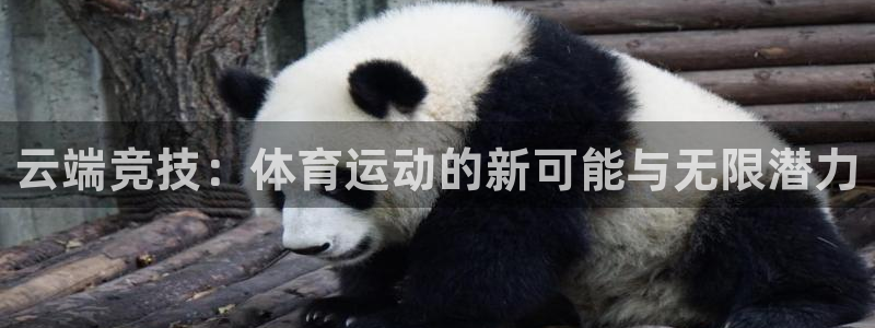 必一运动官网：云端竞技：体育运动的新可能与无限潜力