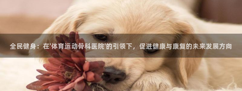 b体育必一运动官网：全民健身：在\'体育运动骨科医院\'的引领下，促进健康与康复的未来发展方向