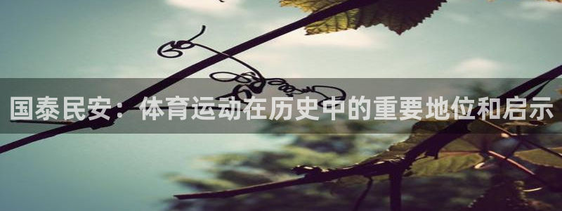 必一运动官网：国泰民安：体育运动在历史中的重要地位和启示
