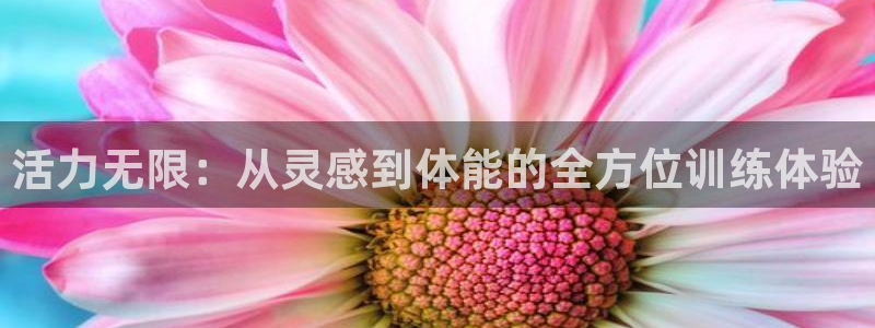 b体育必一运动官网：活力无限：从灵感到体能的全方位训练体验
