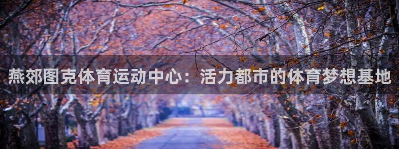必一运动官网入口