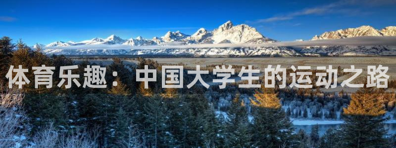 必一运动体育官网入口