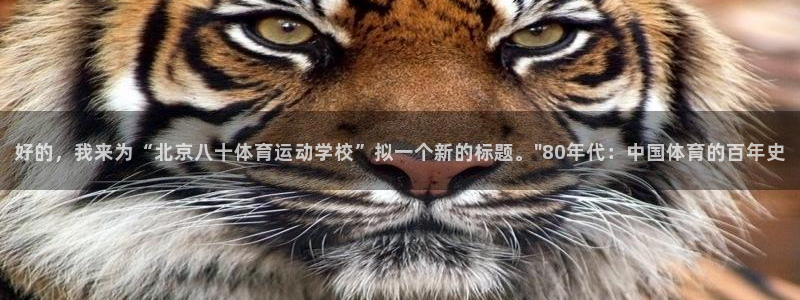 b体育必一运动官网
